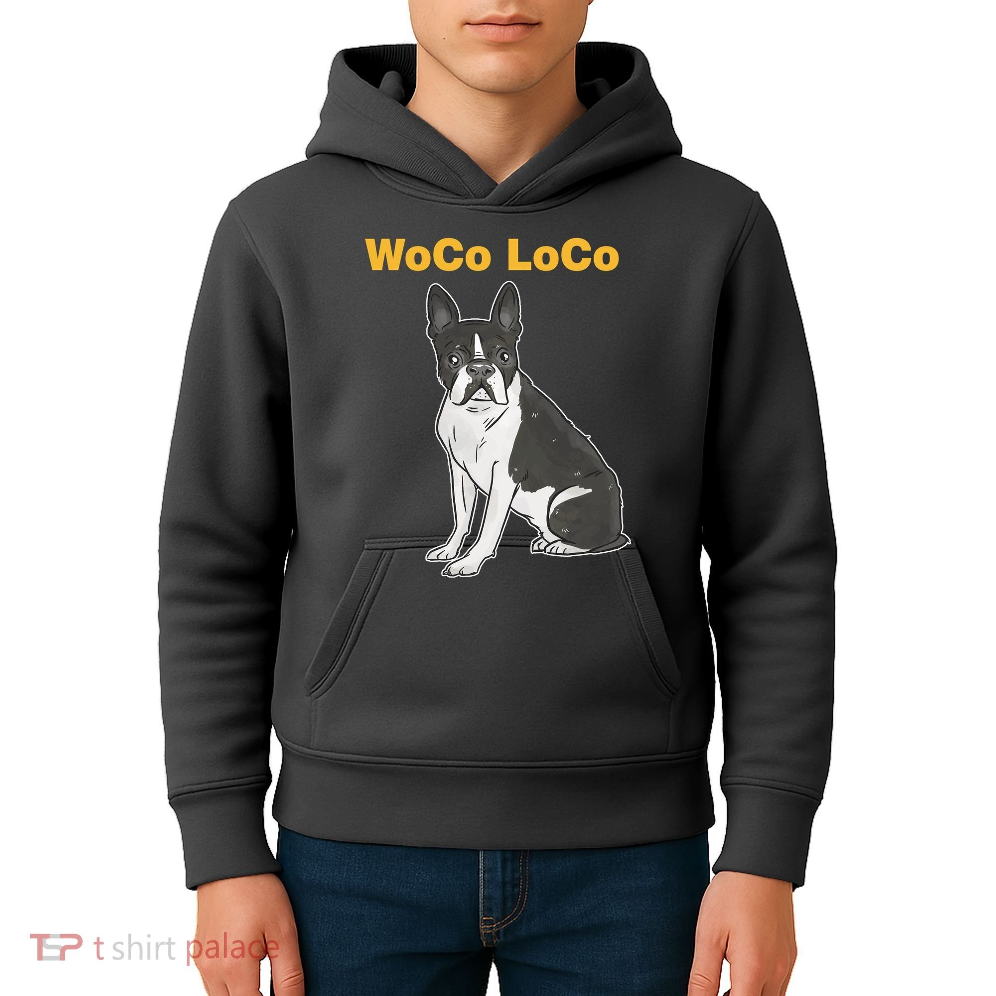 Woco Loco Boston Terrier Dog Kids Hoodie