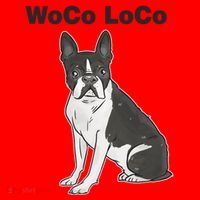 Woco Loco Boston Terrier Dog Santa Hat thumb 1