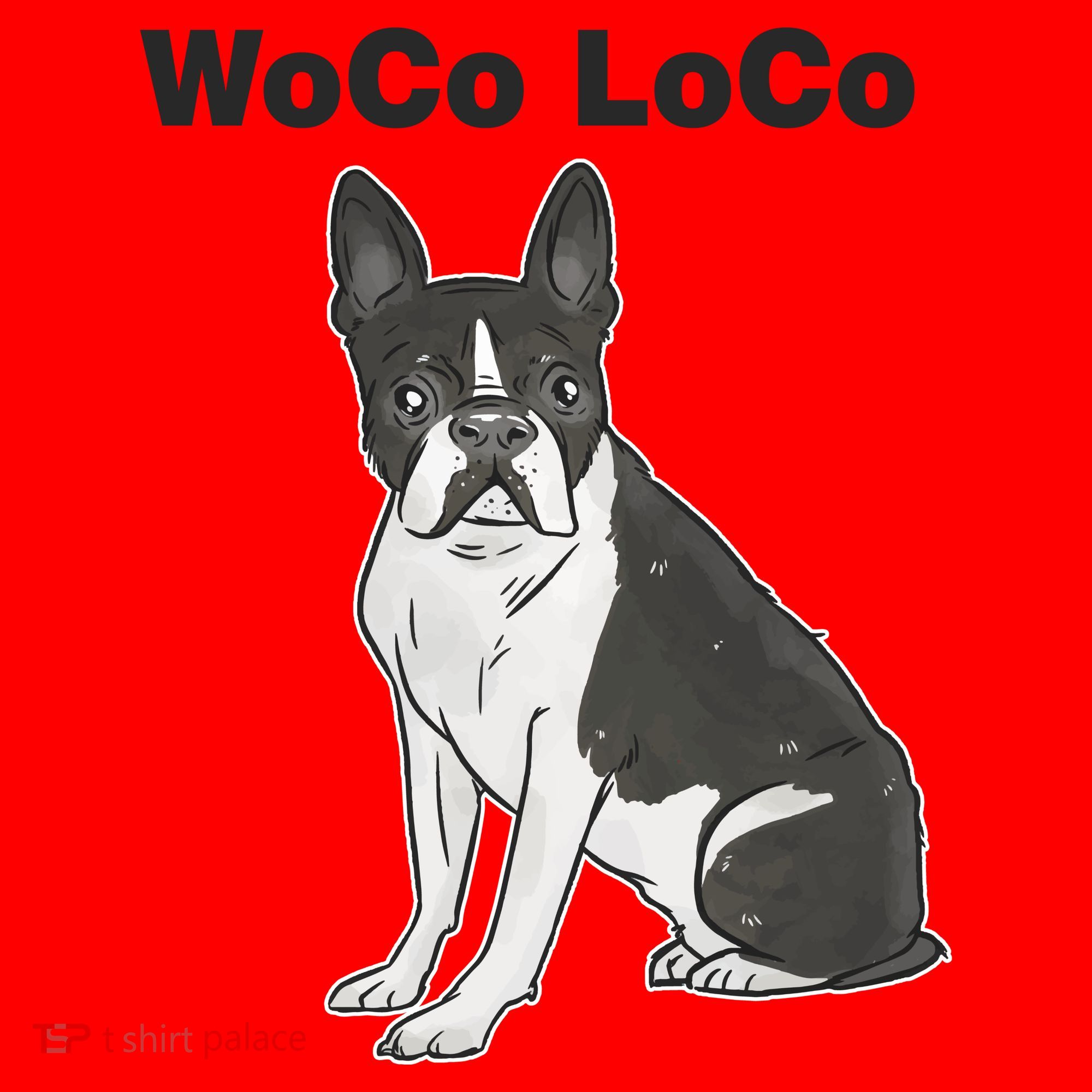 Woco Loco Boston Terrier Dog Santa Hat