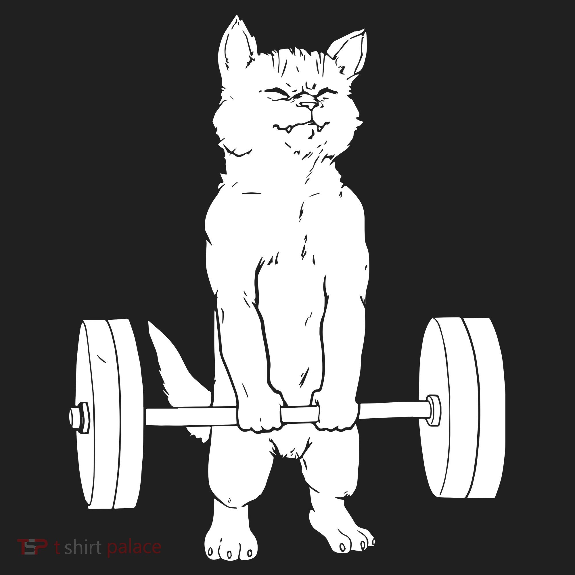 Weight Lifting Cat Deadlift Lifting Hat