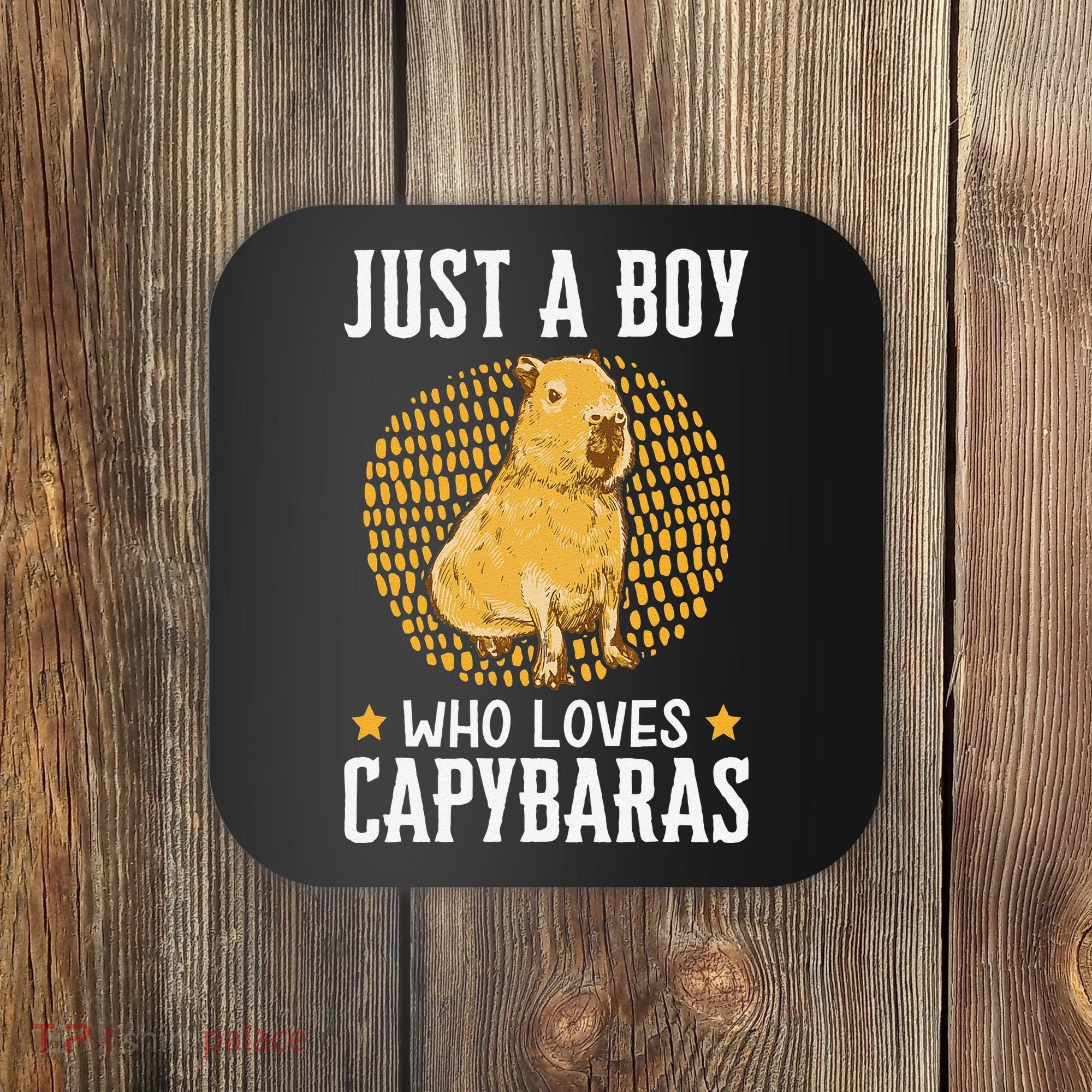 who loves Capybaras South American Capybara  Coaster