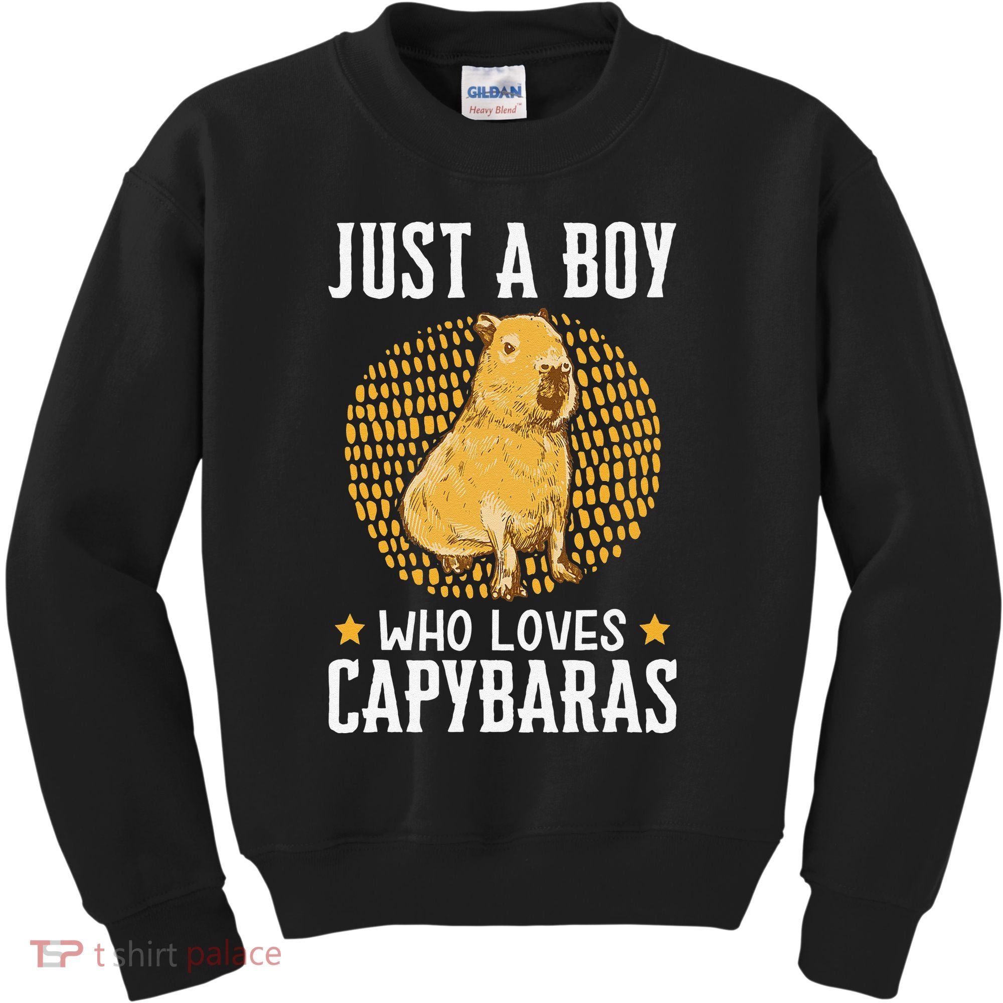  who loves Capybaras South American Capybara  Kids Sweatshirt