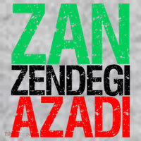 Woman Life Freedom Iran Zan Zendegi Azadi Persian T-Shirt thumb 7