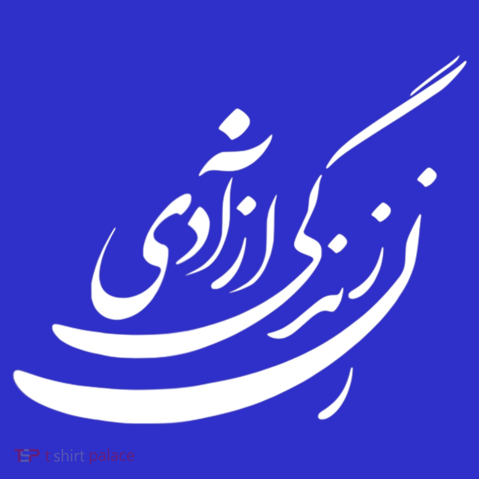 Women Life Freedom In Farsi, Zan Zendegi Azadi T-Shirt