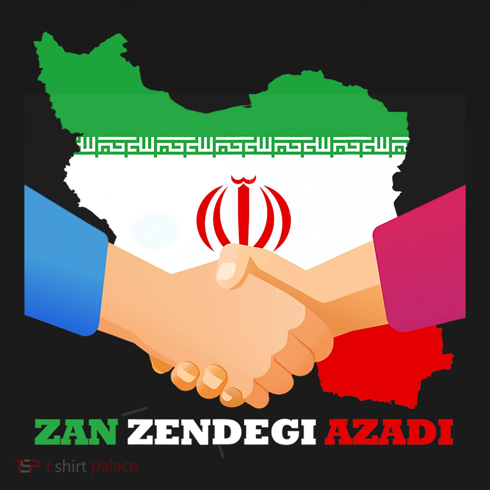 Woman Life Freedom Iran Zan Zendegi Azadi Persian Support Women's T-Shirt