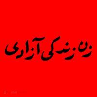 Wo Life Freedom Support Persian Zan Zendegi Azadi Gift Santa Hat thumb 1
