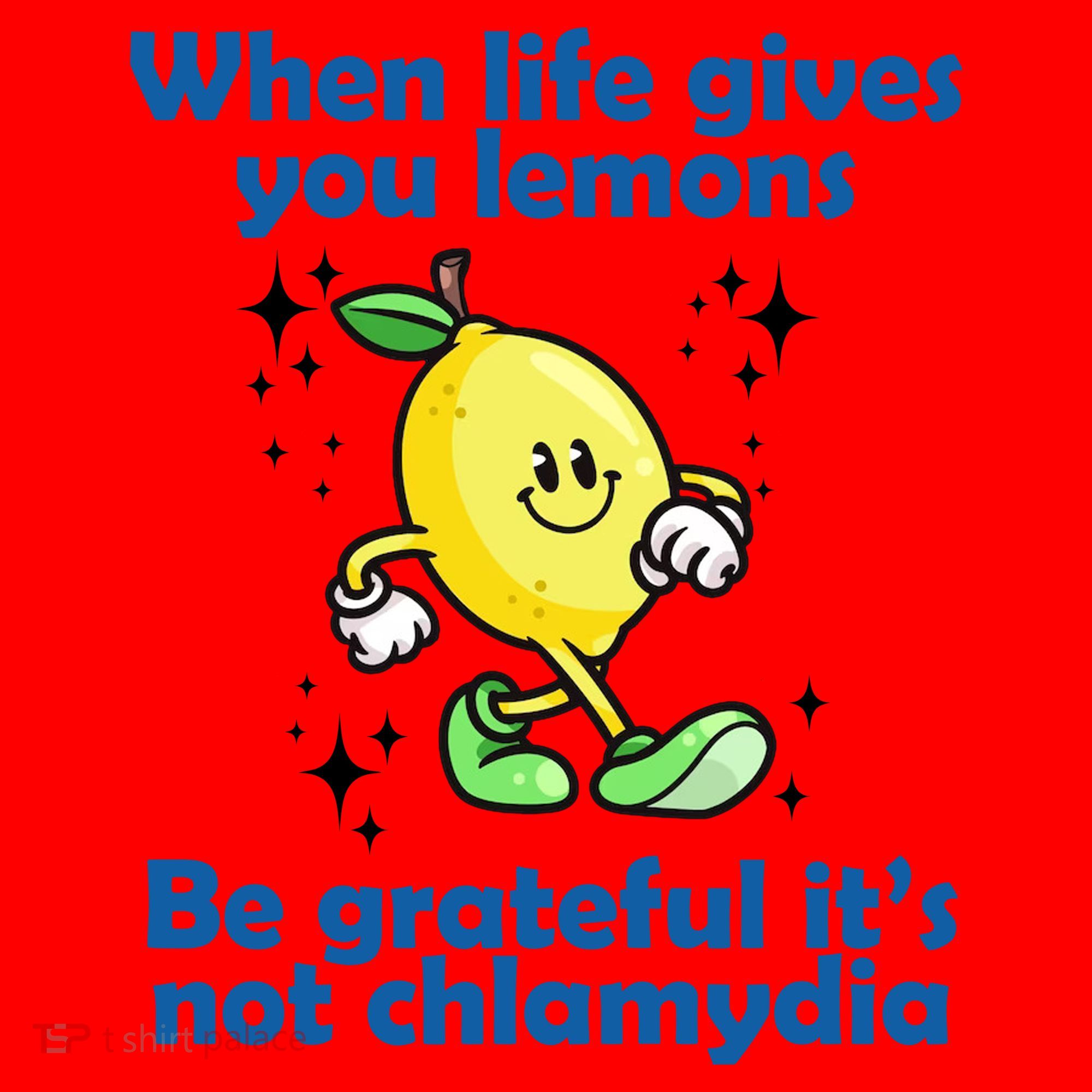 When Life Gives You Lemons Be Grateful Its Not Chlamydia Funny Santa Hat