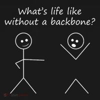 Whats Life Like Without A Backbone Funny Stickfigure Backpack thumb 2