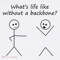 Whats Life Like Without A Backbone Funny Stickfigure T-Shirt thumb 7