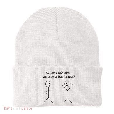 Whats Life Like Without A Backbone Funny Stickfigure Beanie