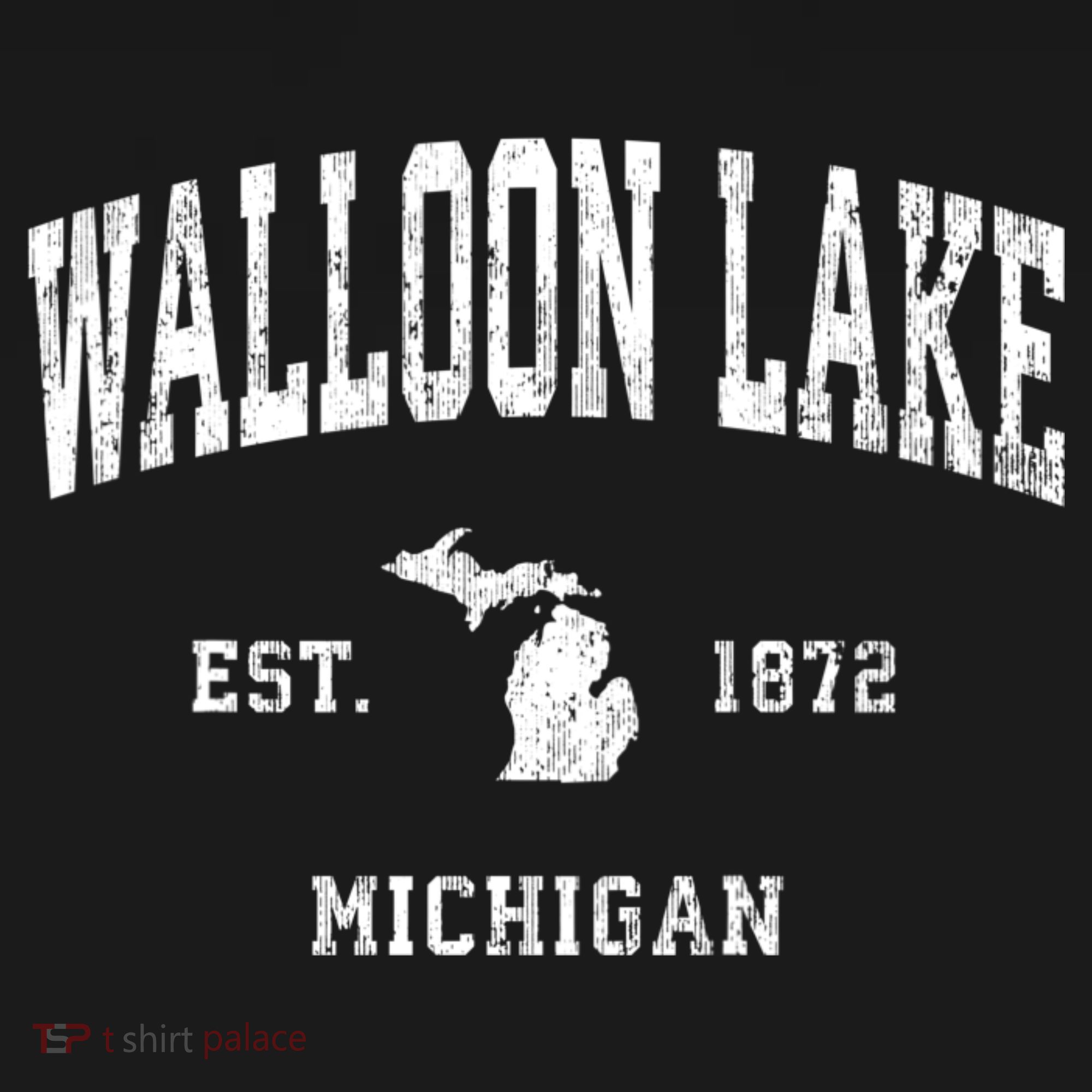 Walloon Lake Michigan Mi Vintage Athletic Sports T-Shirt