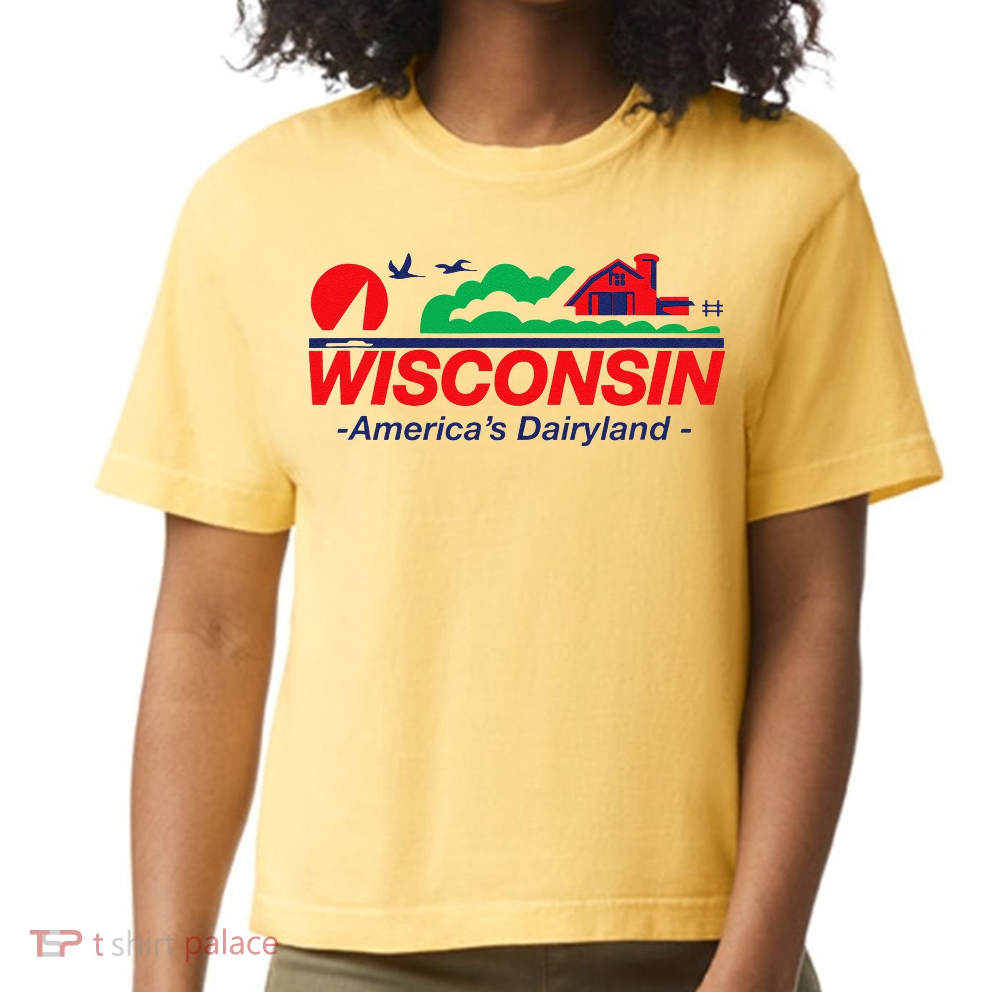 Wisconsin License Plate Americas Dairyland Comfort Colors Boxy T-Shirt