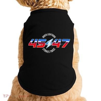 When Lightning Strikes Twice 45 47 Trump Reelection Doggie Tank