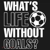 Whats Life Without Goals Soccer Player Coach Gift Women's Hoodie thumb 2