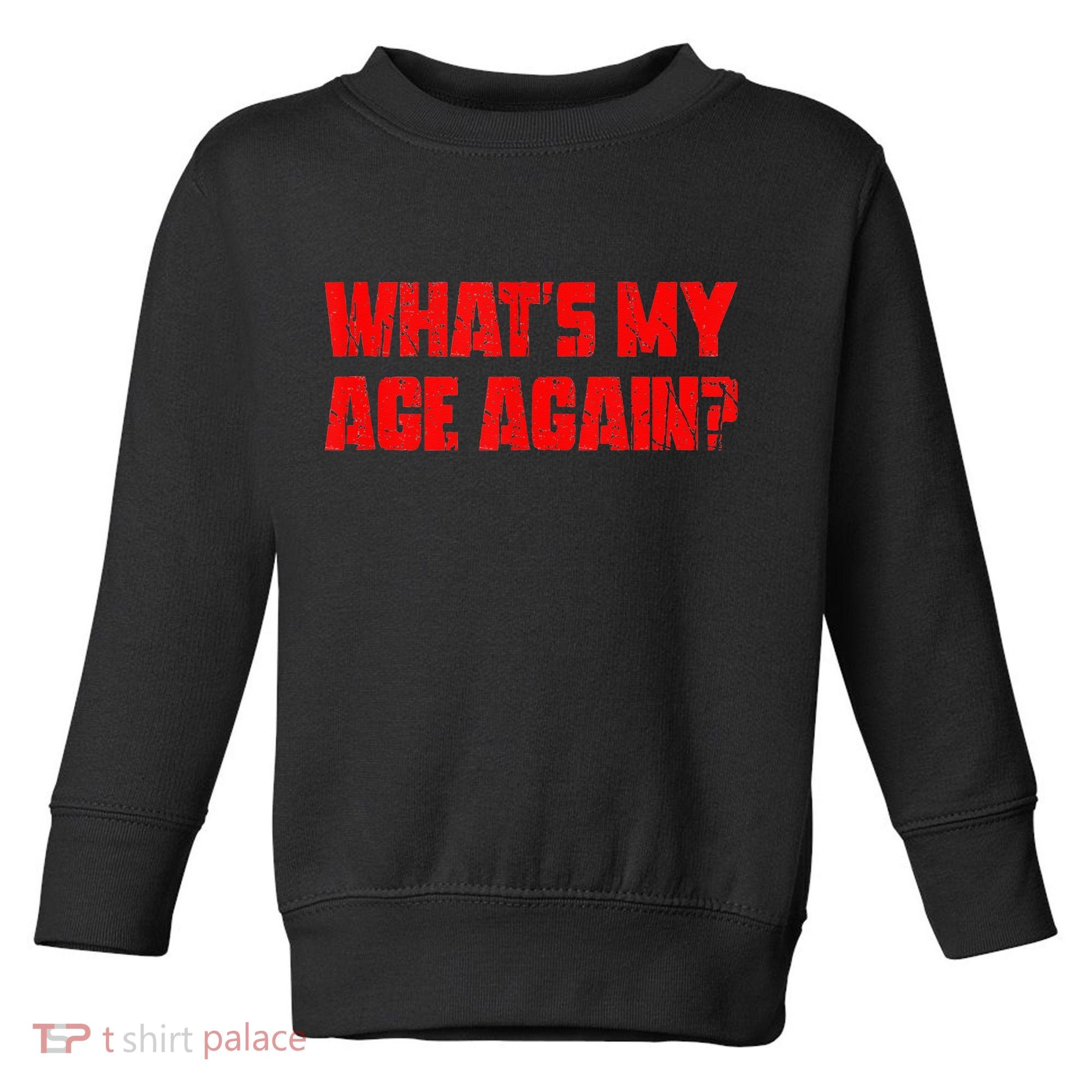 Whats My Age Again Funny Punk Toddler Sweatshirt