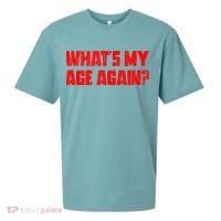 Whats My Age Again Funny Punk Sueded Cloud Jersey T-Shirt thumb 0
