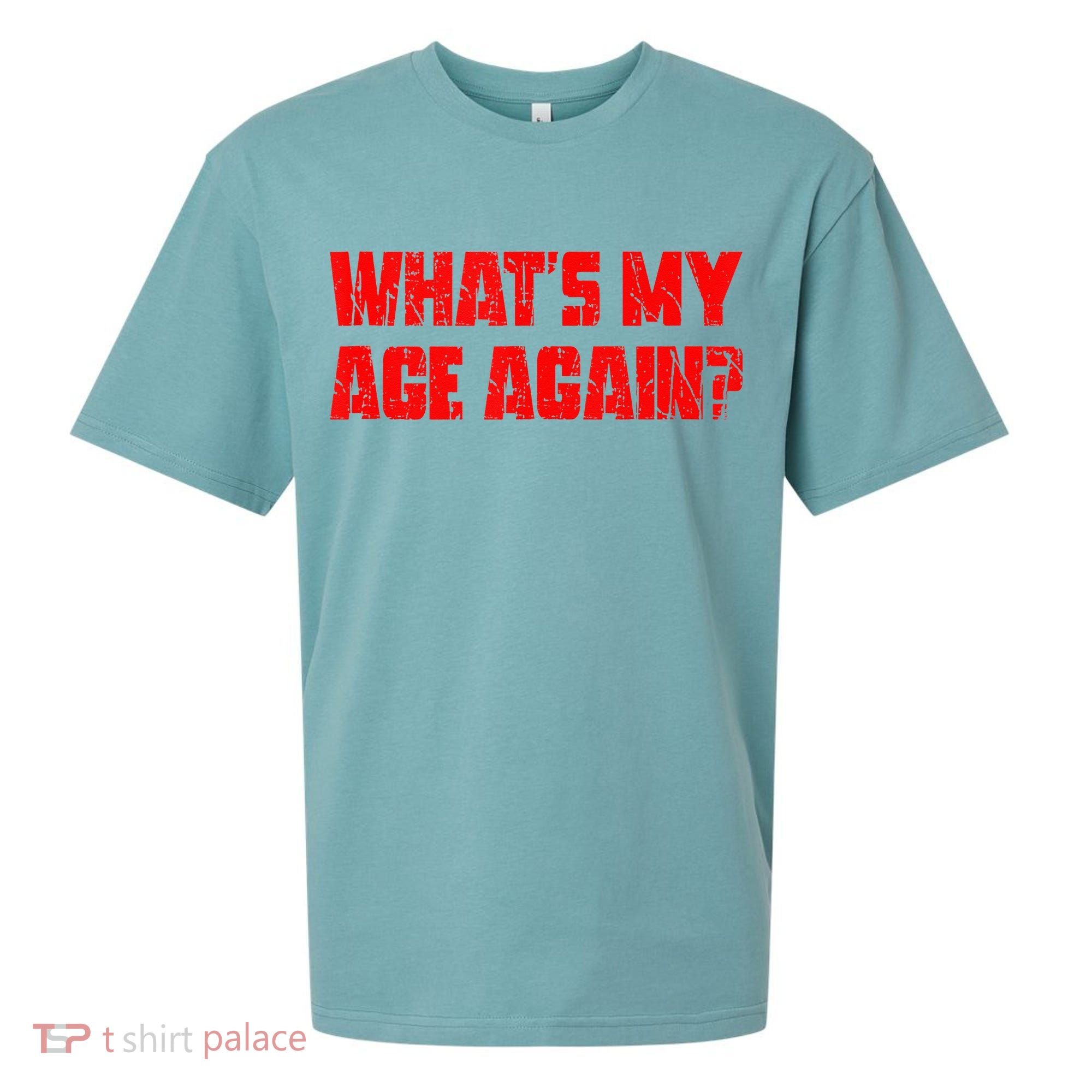 Whats My Age Again Funny Punk Sueded Cloud Jersey T-Shirt