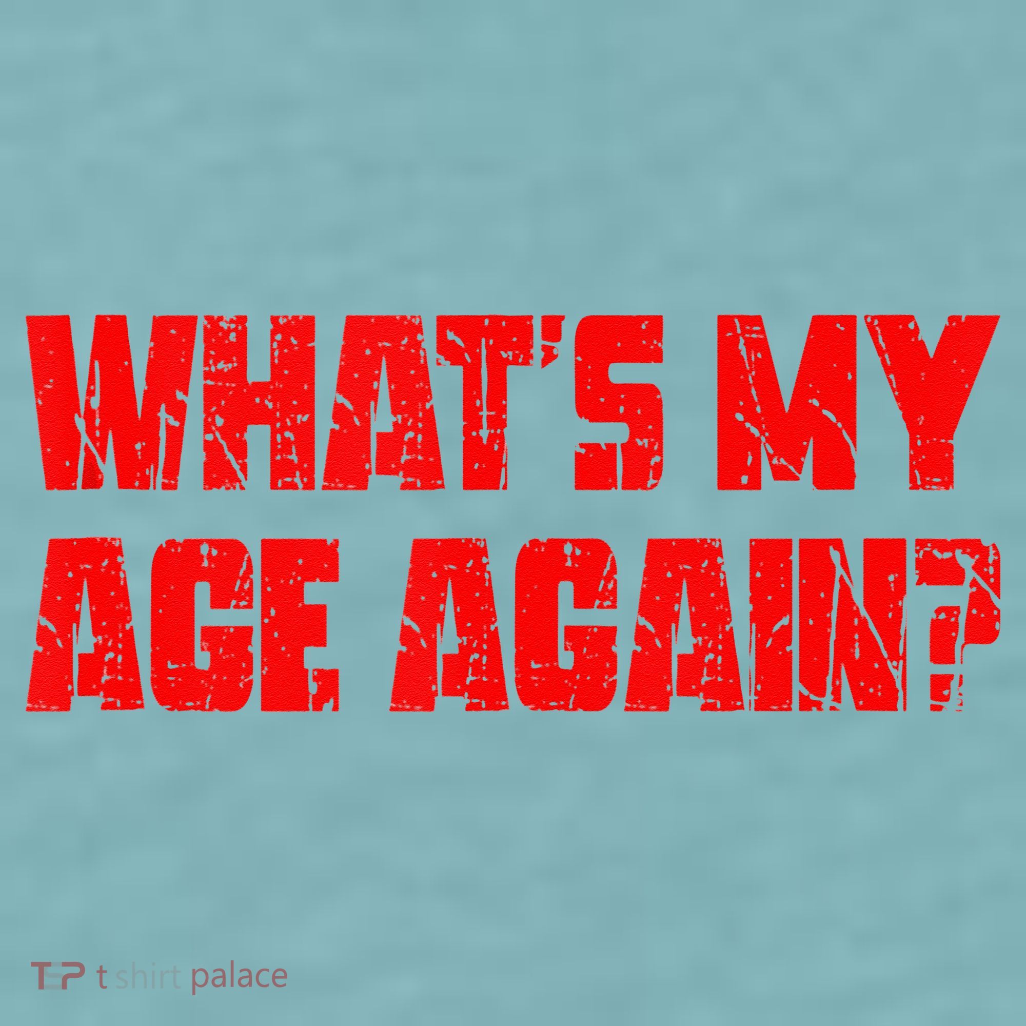 Whats My Age Again Funny Punk Sueded Cloud Jersey T-Shirt
