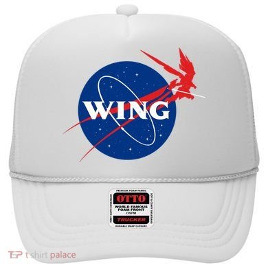 Wing Mecha Aeronautics And Colony Administration  Hat