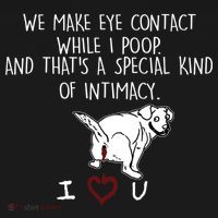 We Make Eye Contact While I Poop Funny Family Humor Women's Hoodie thumb 2