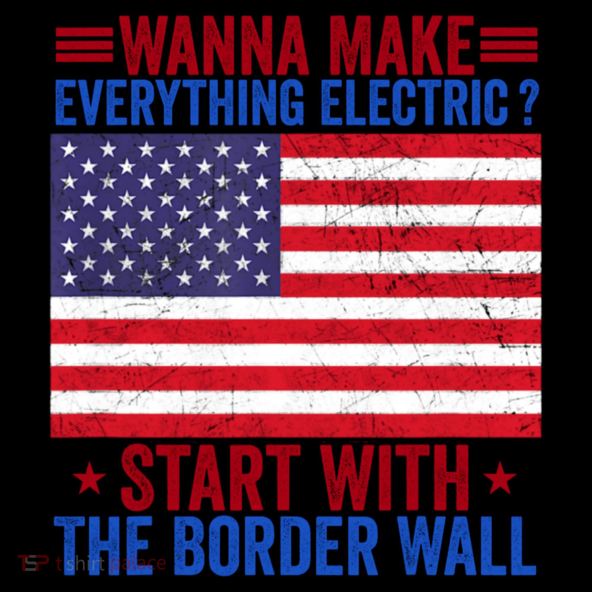 Wanna Make Everything Electric Start With The Border Wall Women's Hoodie