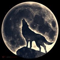 Wolf Moon Fantasy Wild Dog Wolves Sweatshirt thumb 3