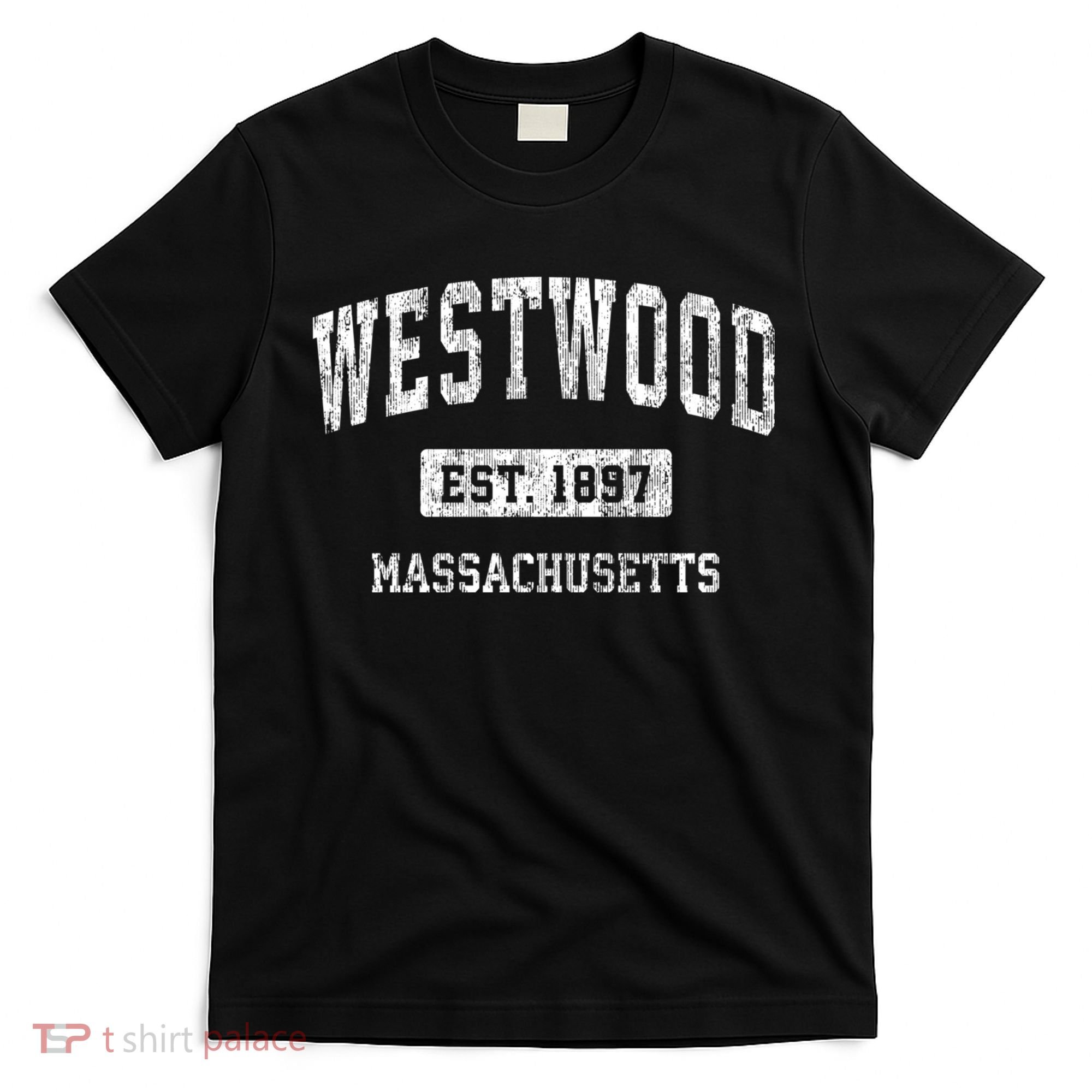 Westwood Massachusetts Ma Vintage Sports T-Shirt