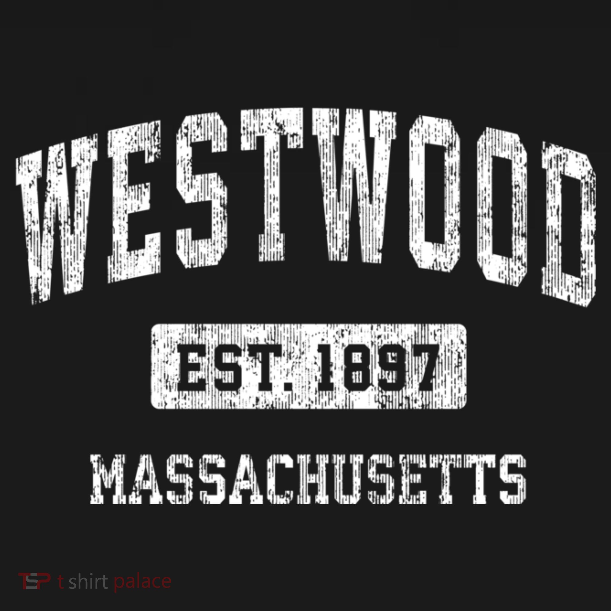 Westwood Massachusetts Ma Vintage Sports T-Shirt