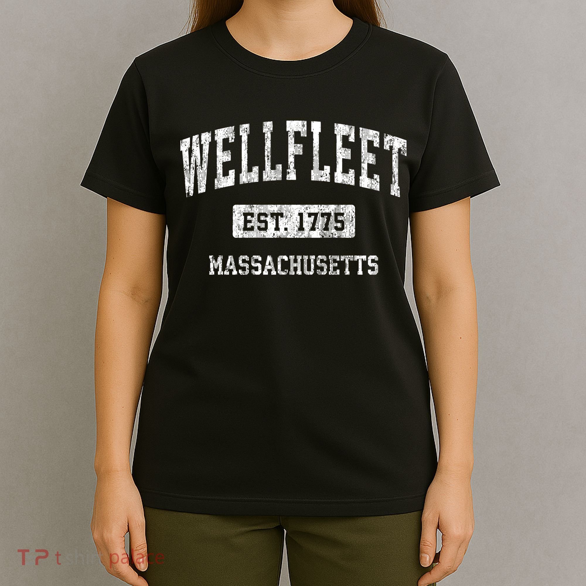 Wellfleet Massachusetts Ma Vintage Sports Established T-Shirt
