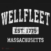 Wellfleet Massachusetts Ma Vintage Sports Established T-Shirt thumb 7