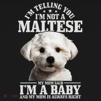 Womens Maltese Mom Said Im A Baby Funny Maltese Dog Apron thumb 3
