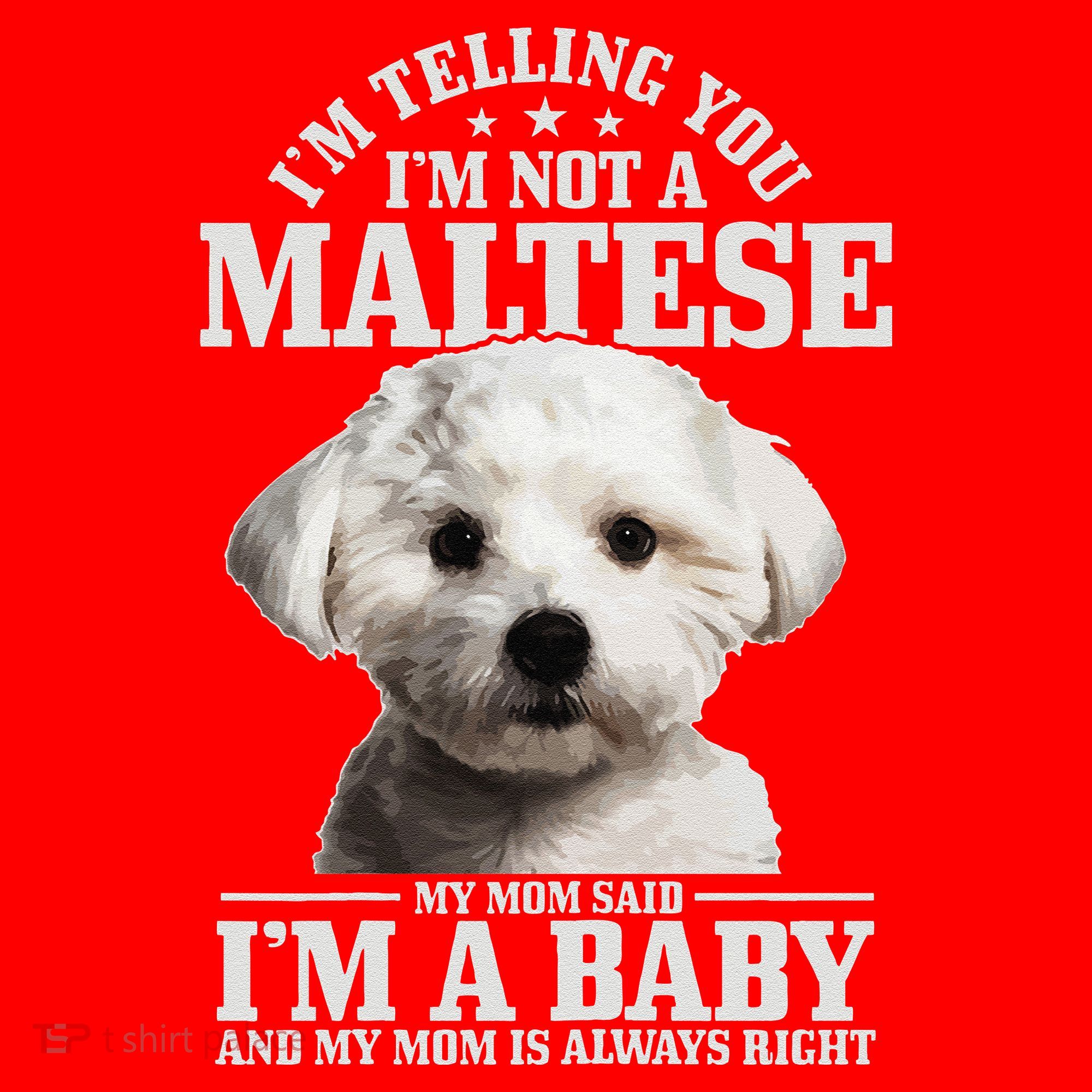 Womens Maltese Mom Said Im A Baby Funny Maltese Dog Santa Hat