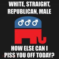 White Male Straight Republican | Funny Republican Gifts Long Sleeve Shirt thumb 2