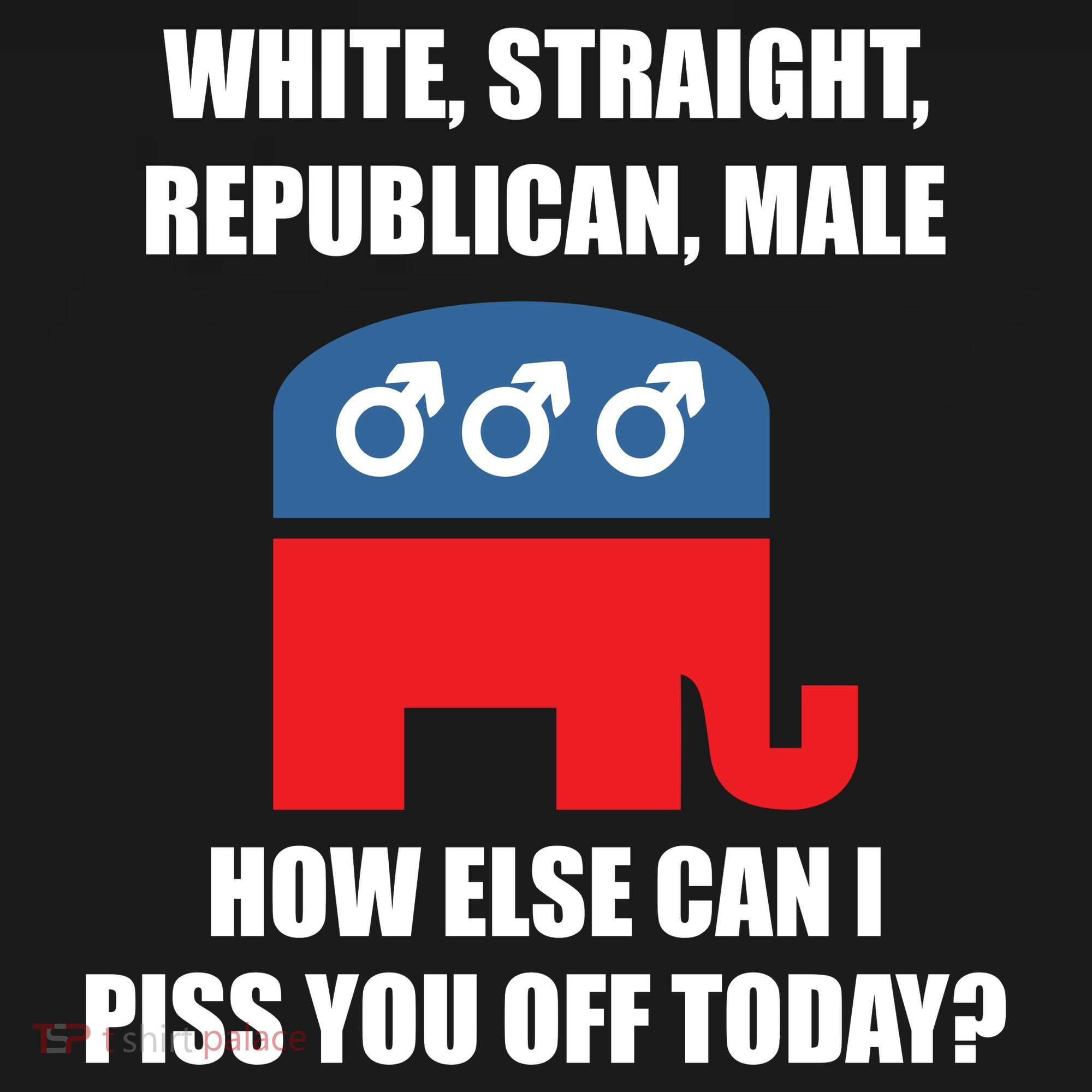White Male Straight Republican | Funny Republican Gifts Apron
