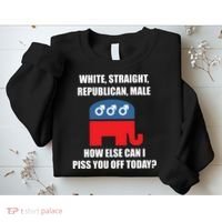 White Male Straight Republican | Funny Republican Gifts Sweatshirt thumb 2