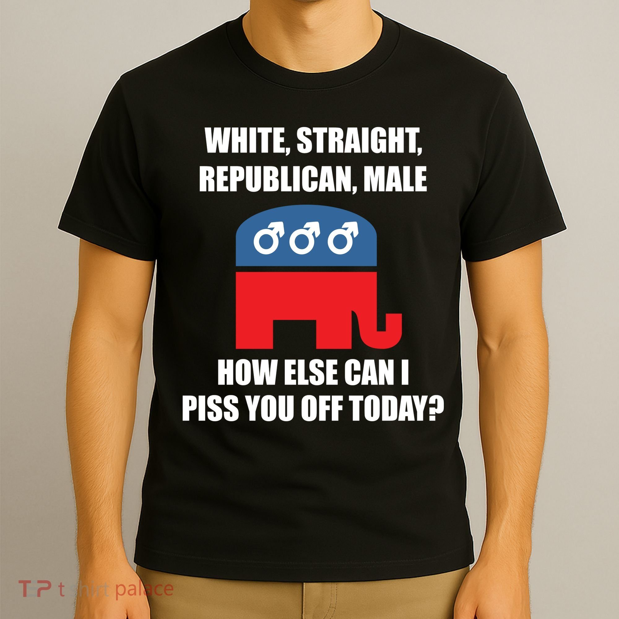 White Male Straight Republican | Funny Republican Gifts T-Shirt