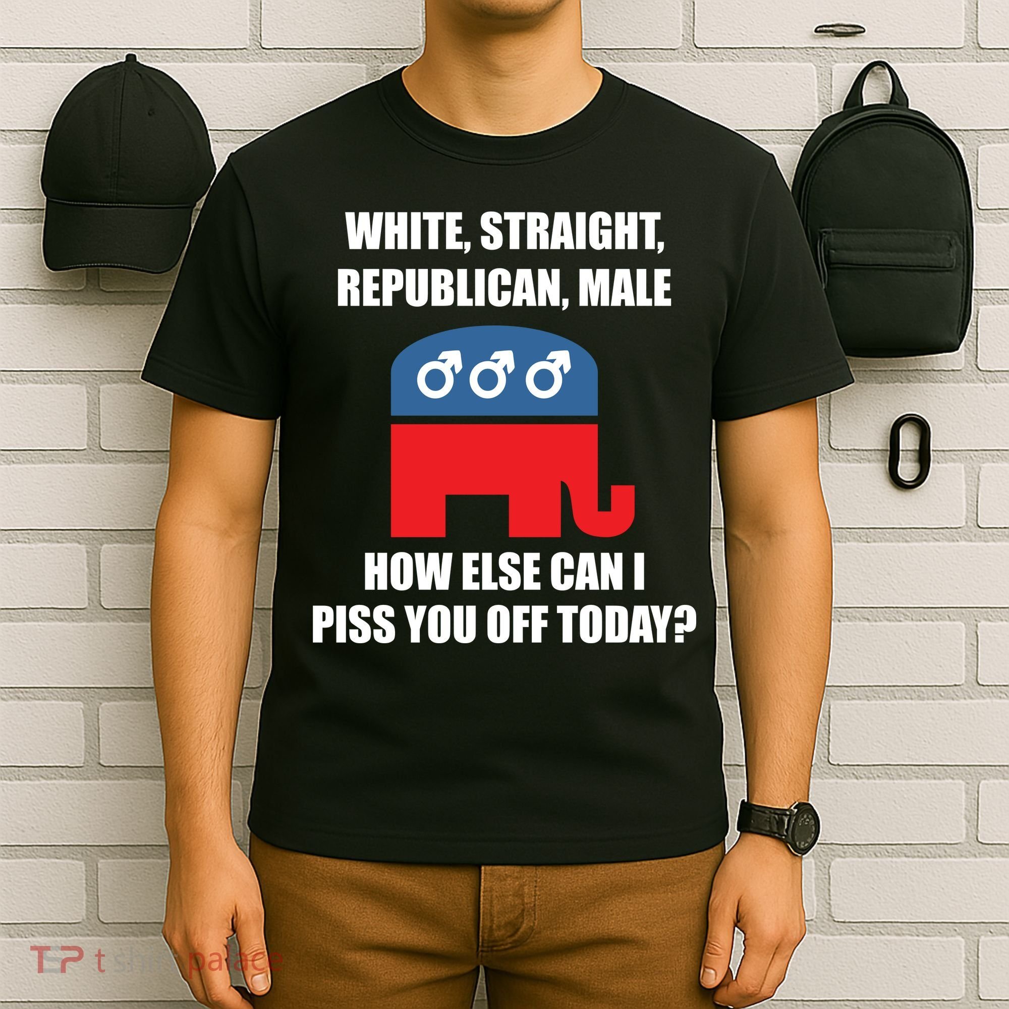 White Male Straight Republican | Funny Republican Gifts T-Shirt