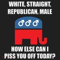 White Male Straight Republican | Funny Republican Gifts Hat thumb 2