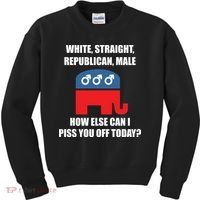 White Male Straight Republican | Funny Republican Gifts Kids Sweatshirt thumb 0