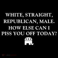 White Male Straight Republican Ornament thumb 1