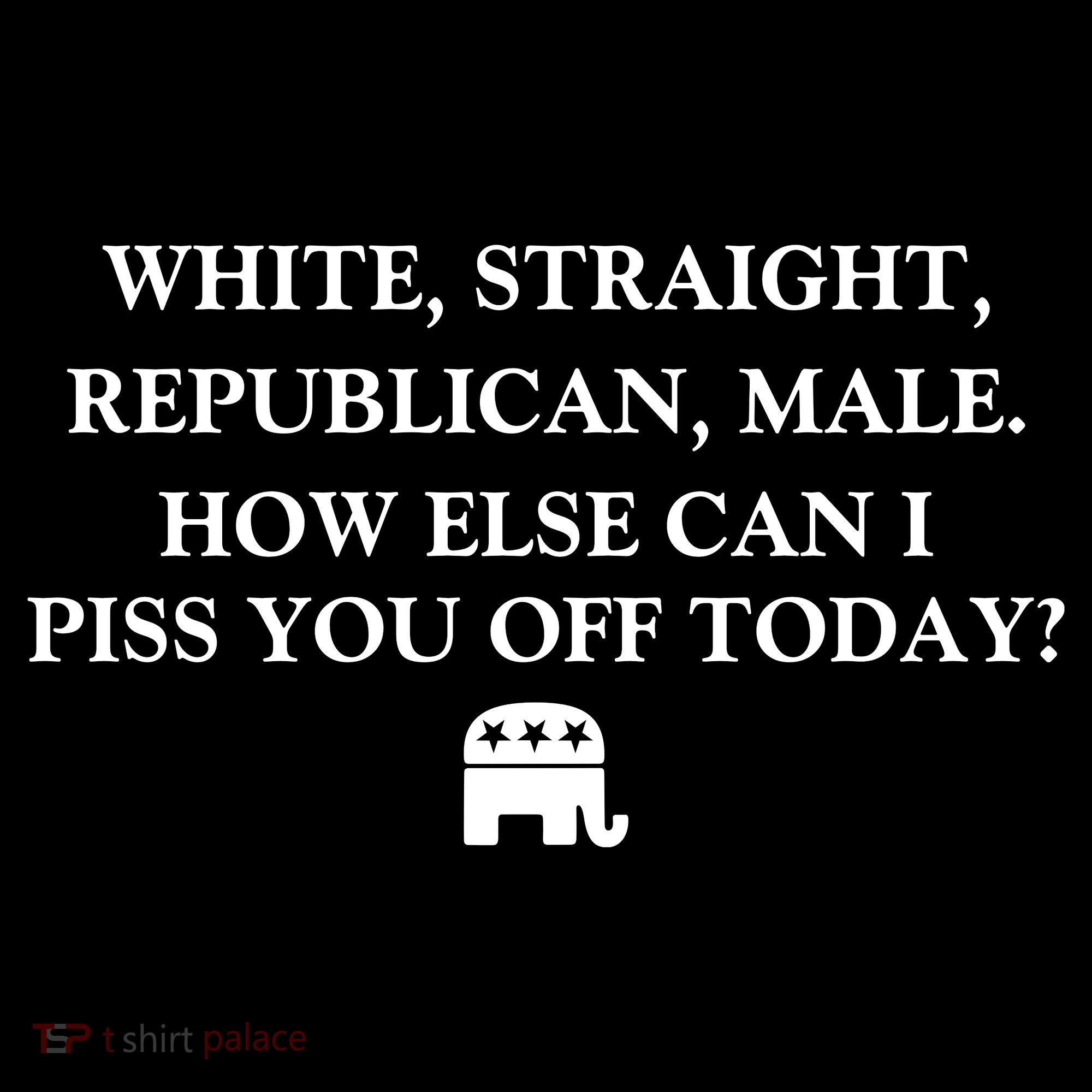 White Male Straight Republican Ornament