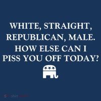 White Male Straight Republican Women's T-Shirt thumb 6