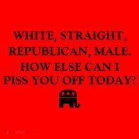 White Male Straight Republican Santa Hat thumb 1