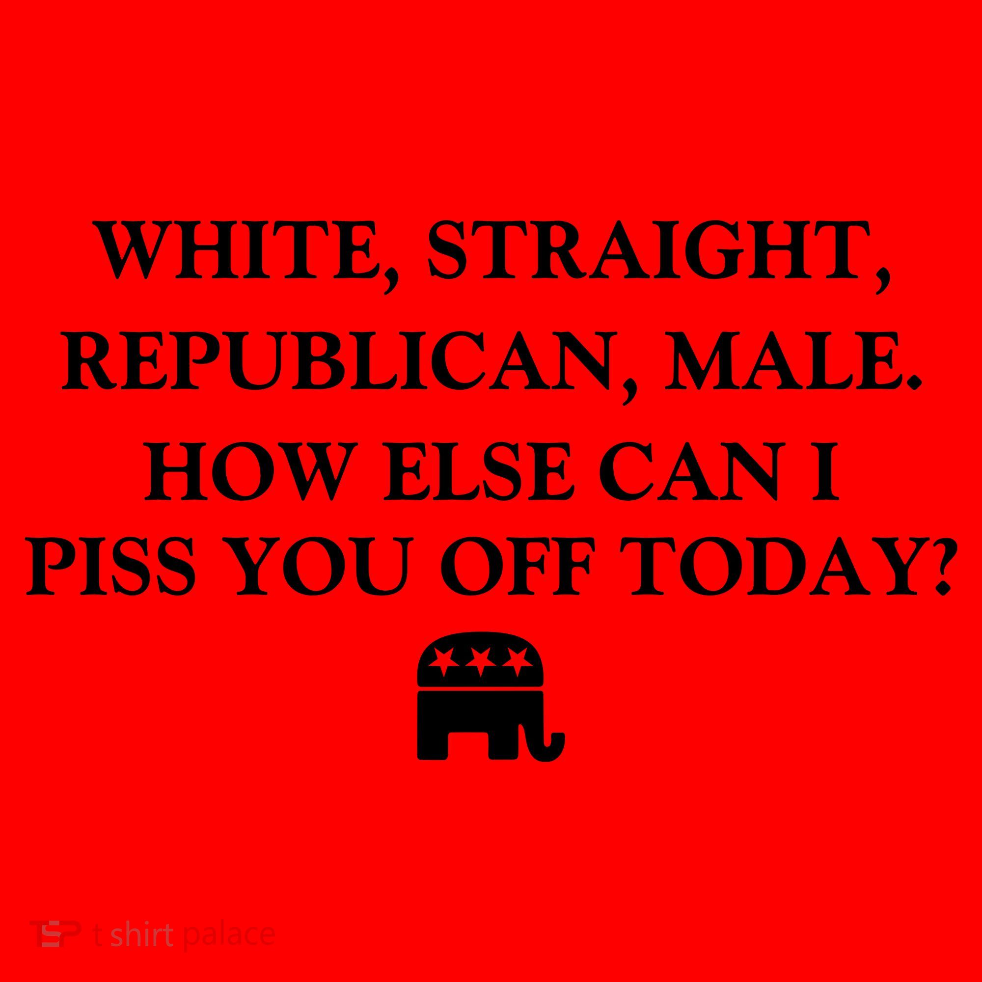 White Male Straight Republican Santa Hat