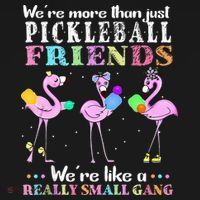 WeRe More Than Just Pickleball Friends Flamingo Hoodie thumb 2