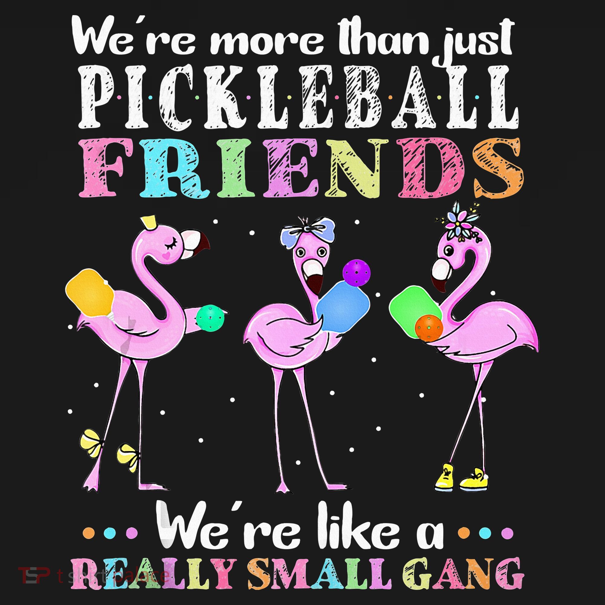 WeRe More Than Just Pickleball Friends Flamingo Women's Hoodie
