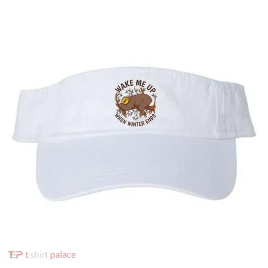 Visor