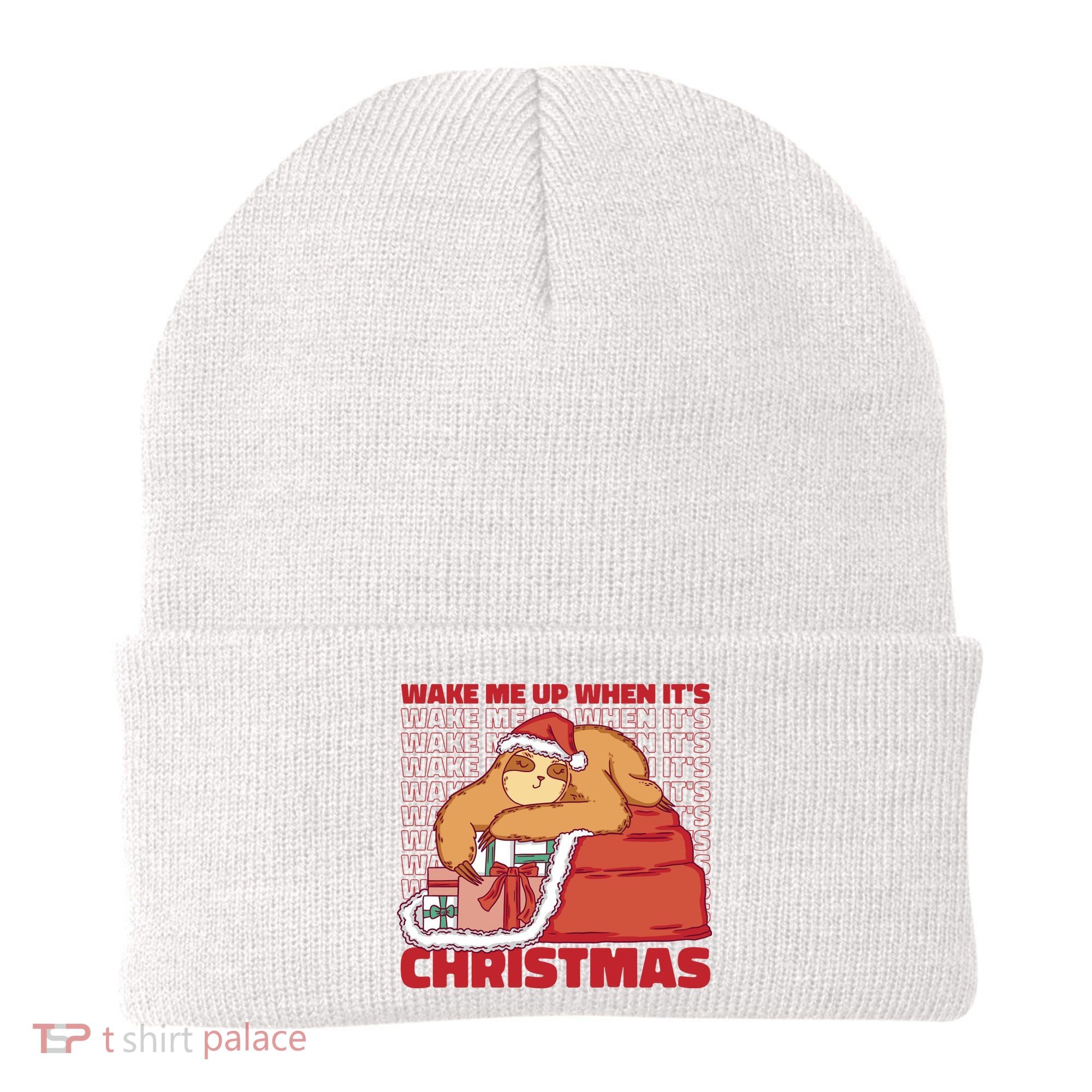 Wake Me Up When It's Christmas Sleeping Sloth Beanie