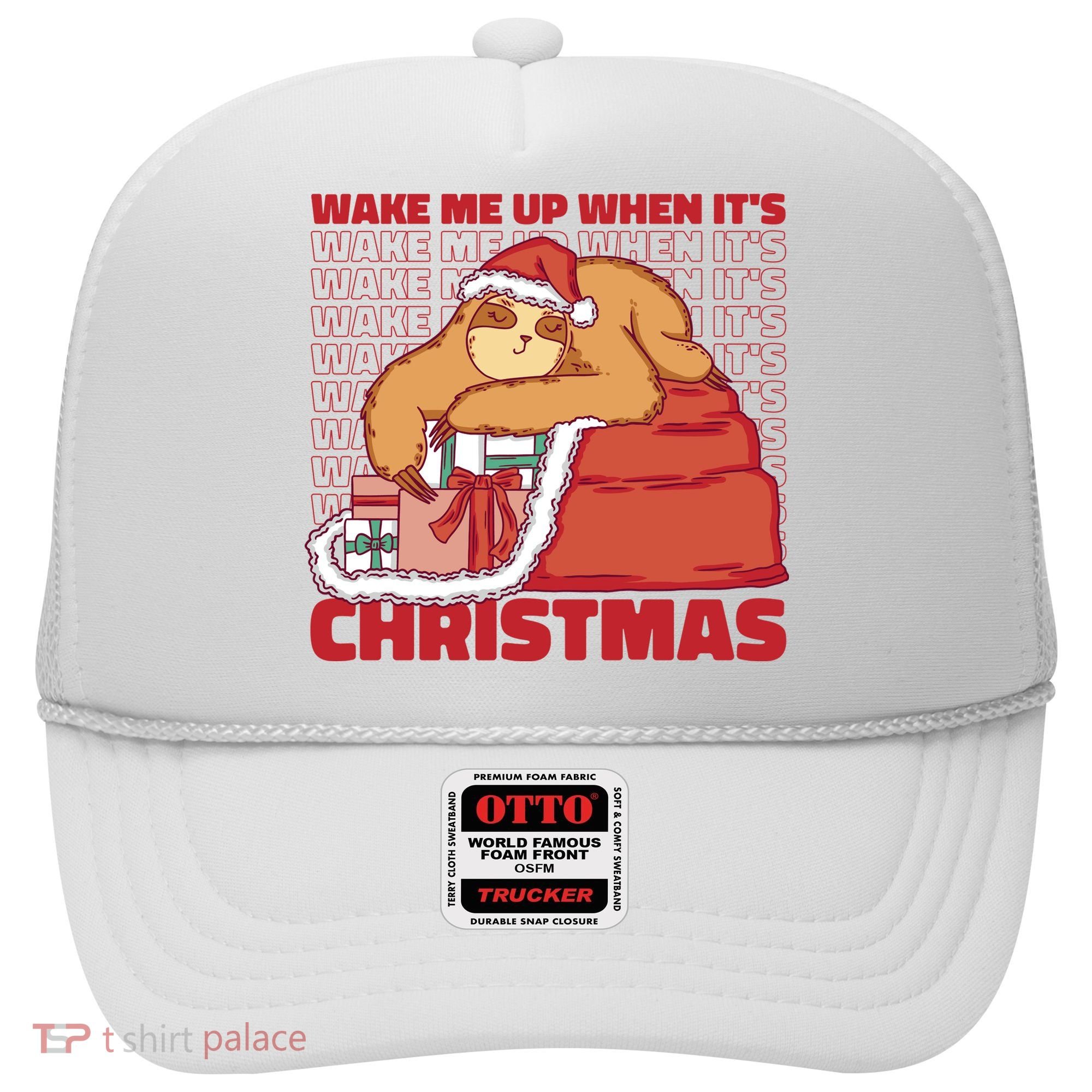 Wake Me Up When It's Christmas Sleeping Sloth Hat