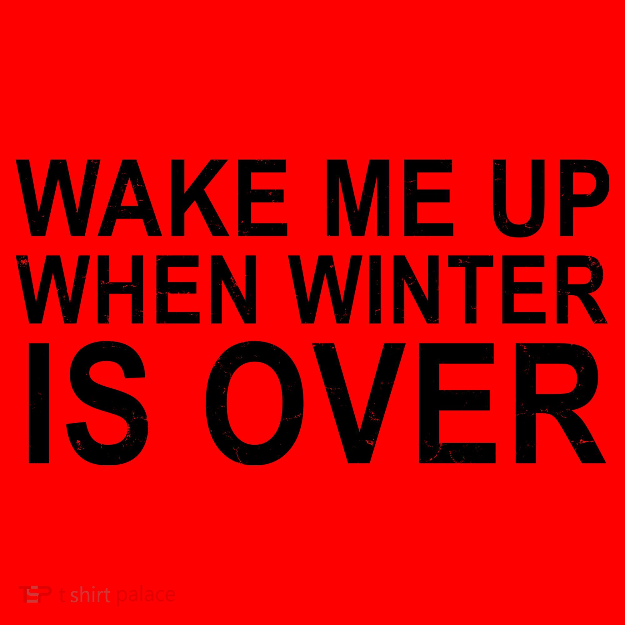 Wake Me Up When Winter Is Over Santa Hat